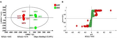 Effects of Keemun and Dianhong Black Tea in Alleviating Excess Lipid Accumulation in the Liver of Obese Mice: A Comparative Study